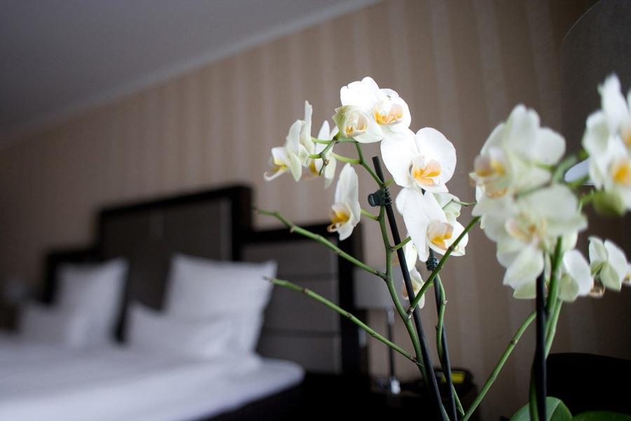 Top Hotel Kraemer Koblenz  Værelse billede
